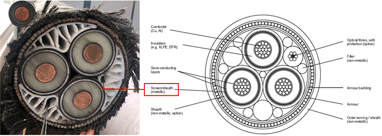 Section of a subsea HV cable