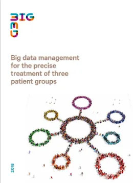 Big data management for the precise treatment of three patient groups
