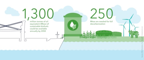 Promising fuel options: Biofuels