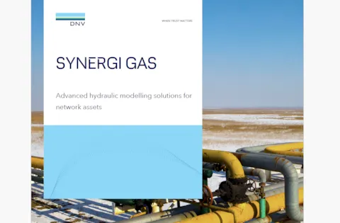 Synergi Gas brochure