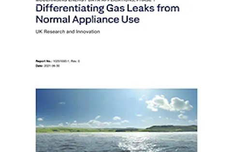 Differentiating Gas Leaks from Normal Appliance Use