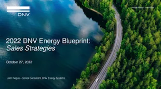 Energy Blueprint Sales Strategies Report presentation