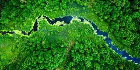 Reducing carbon footprints