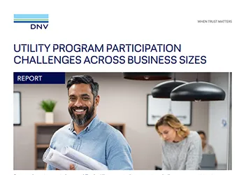 Utility program participation challenges across business sizes