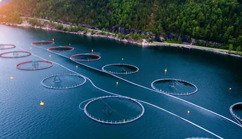 Barrier management - Enabling sustainable fish farming