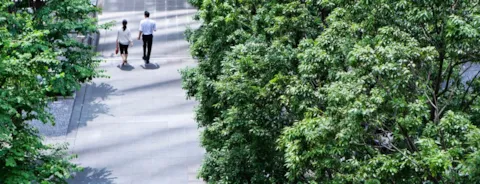 A business man and woman walking on a passage among trees together