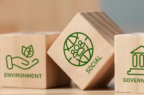 ESG risks: definition and risk management strategies