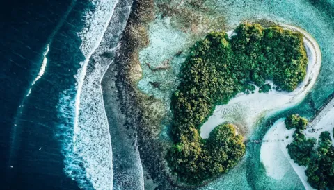 Biodiversity and coexistence