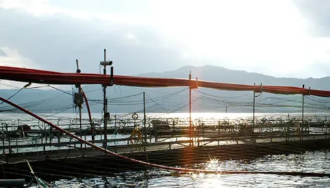 Aquaculture infrastructure & farm technology