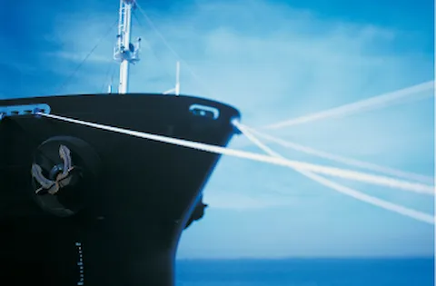 Download the full article