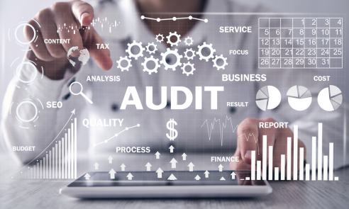 Audits with DNV's digital tools